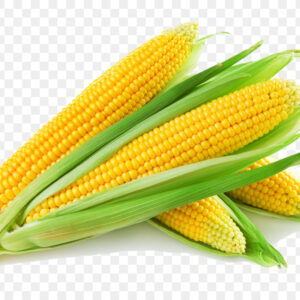 ข้าวโพด                                       ขนาดใหญ่